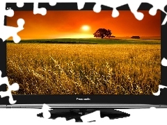 Panasonic, Telewizor