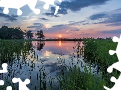 Zachód słońca, Drzewa, Jezioro, Trawa