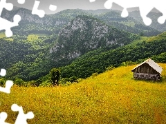 Drewniana, Lasy, Rumunia, Chatka, Góry