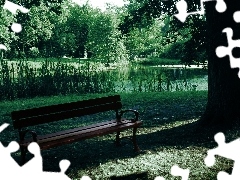 Drzewa, Staw, Park, Ławka
