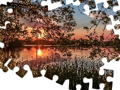 Wschód, Trawy, Jezioro, Słońca, Drzewa