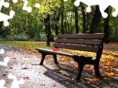 Liść, Czerwony, Park, Ławka
