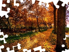 Jesień. Park