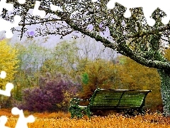 Drzewo, Ławka, Park