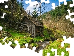 Potok, Las, Młyn