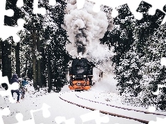 Śnieg, Ludzie, Zima, Pociąg, Las