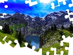 Jeziorko, Drzewa, Góry