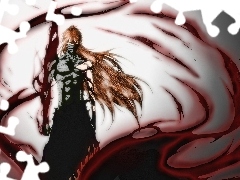 Przemiana, Bleach, Kurosaki