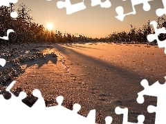 Śnieg, Zachód słońca, Zima, Ślady, Drzewa