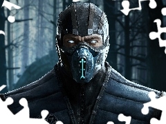 Mortal Kombat, Gra, Wojownik, Sub-zero