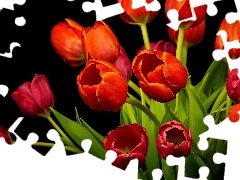 Czerwone, Tulipany, Bukiet