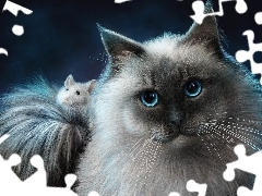 Kot, Myszka, Grafika 2D