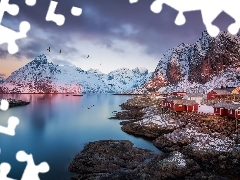 Domy, Góry, Wioska Reine, Norwegia, Ptaki, Lofoty