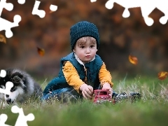 Liście, Szczeniak, Pies, Alaskan Malamute, Samochodzik, Tra