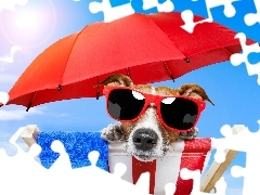 Wakacje Jack russell terrier, Okulary, Parasol, Leżak