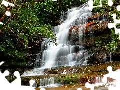 Nowa Południowa Walia, Brisbane Water National Park