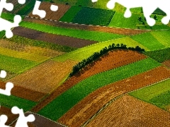 Drzewa, Z lotu ptaka, Pola