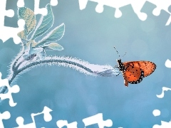 Łodyga, Listki, Motyl