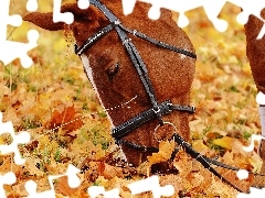 Łeb, Liście, Koń