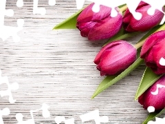 Tulipany, Deski, Bordowe