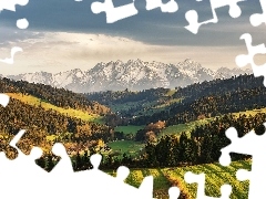 Niebo, Las, Wzgórza, Polska, Pola, Polski Spisz, Góry Tatry