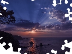 Chmury, Wybrzeże, Zachód słońca, Morze, Hiszpania, Asturia, Drzewo, Plaża Playa del Silencio