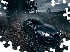 Drzewa, Droga, BMW M6 Gran Coupe AC Schnitzer, 2014