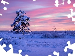 Zima, Region Värmland, Ośnieżone, Gmina Arvika, Szwecja, 