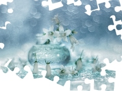 Kwiaty, Bokeh, Białe, Dzwonki dalmatyńskie, Campanula