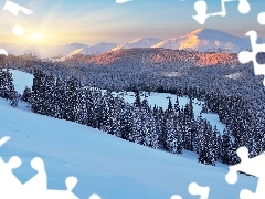 Góry Karpaty, Ukraina, Las, Wschód słońca, Drzewa, Zima