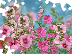 Grafika 2D, Malwy, Kwiaty