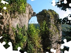 Drzewa, Skała