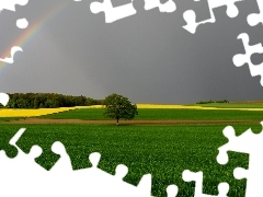 Pola, Drzewo, Wieża, Tęcza