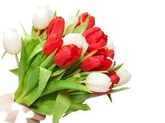 Dłoń, Bukiet, Tulipanów