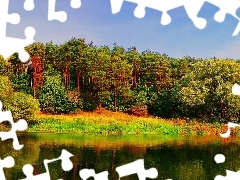Las, Jezioro