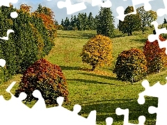 Jesień, Drzewa, Wzgórze, Kolorowe