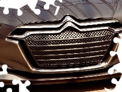 Grill, Citroen Metropolis