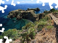 Panarea, Roślinność, Morze, Sycylia, Skały