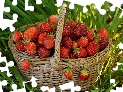 Truskawek, Trawa, Kosz