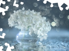 Hortensja, Kwiaty, Bokeh, Białe