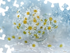 Wazonik, Bokeh, Białe, Kwiaty, Rumian polny