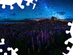 Łąka, Jezioro Tekapo, Łubin, Kościół Dobrego Pasterza,