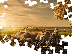 Dziecko, Trawa, Pieniek, Nastrój, Lew, Niebo, Światło, Ptaki, Piłka nożna, Opis: Pole, Fantastyka, Chłopiec, Łąka, Przyjaźń, Drzewo, Siedzenie, Słońce, Wzgórza, Chmury, Leży, Mewa, Kot, Jesień, Lwica, Bestia