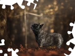 Pies, Drzewo, Bokeh, Buldog francuski