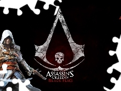 Assassins Creed 4, Black Flag