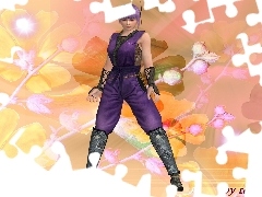 Grafika, Dead Or Alive 5, Ayane