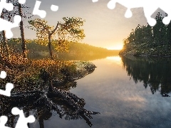Jezioro, Drzewa, Wschód słońca, Lasy