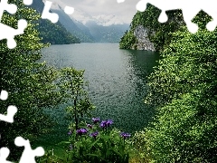 Góry, Rzeka, Roślinność, Drzewa
