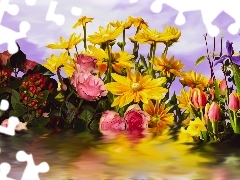 Tulipany, Kwiaty, Rudbekia, Grafika, Irysy, Róże