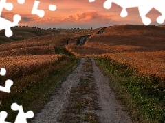 Pola, Włochy, Drzewa, Zachód słońca, Droga, Toskania